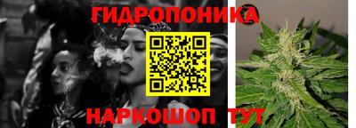 apvp Беслан