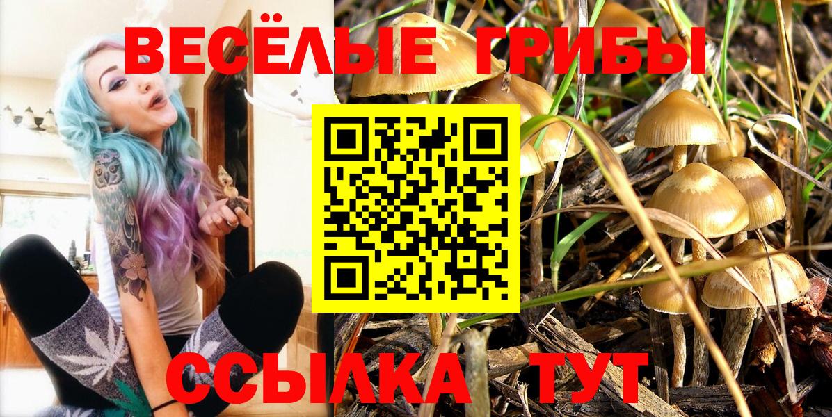 Псилоцибиновые грибы Psilocybe Качканар